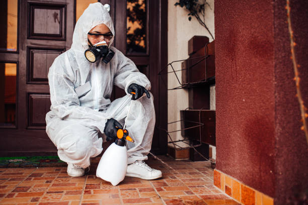 Reliable Ant Control contractor in Ninnekah, OK by Nex Pest Control