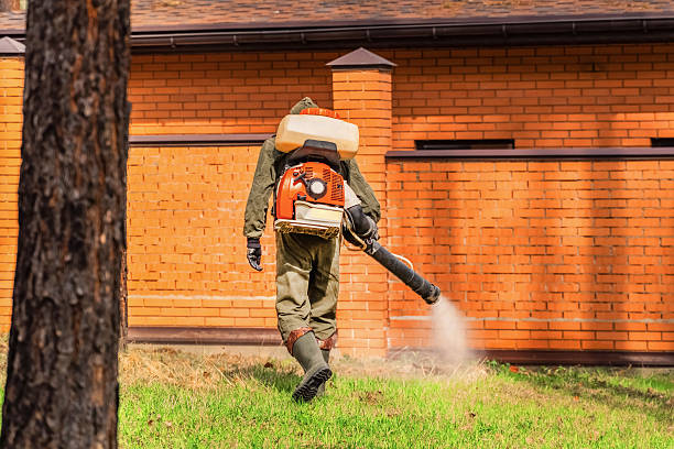 Trusted Cockroach Control service in Ninnekah, OK - Nex Pest Control